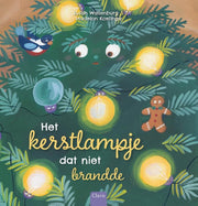 Het Kerstlampje dat niet brandde - Prentenboek