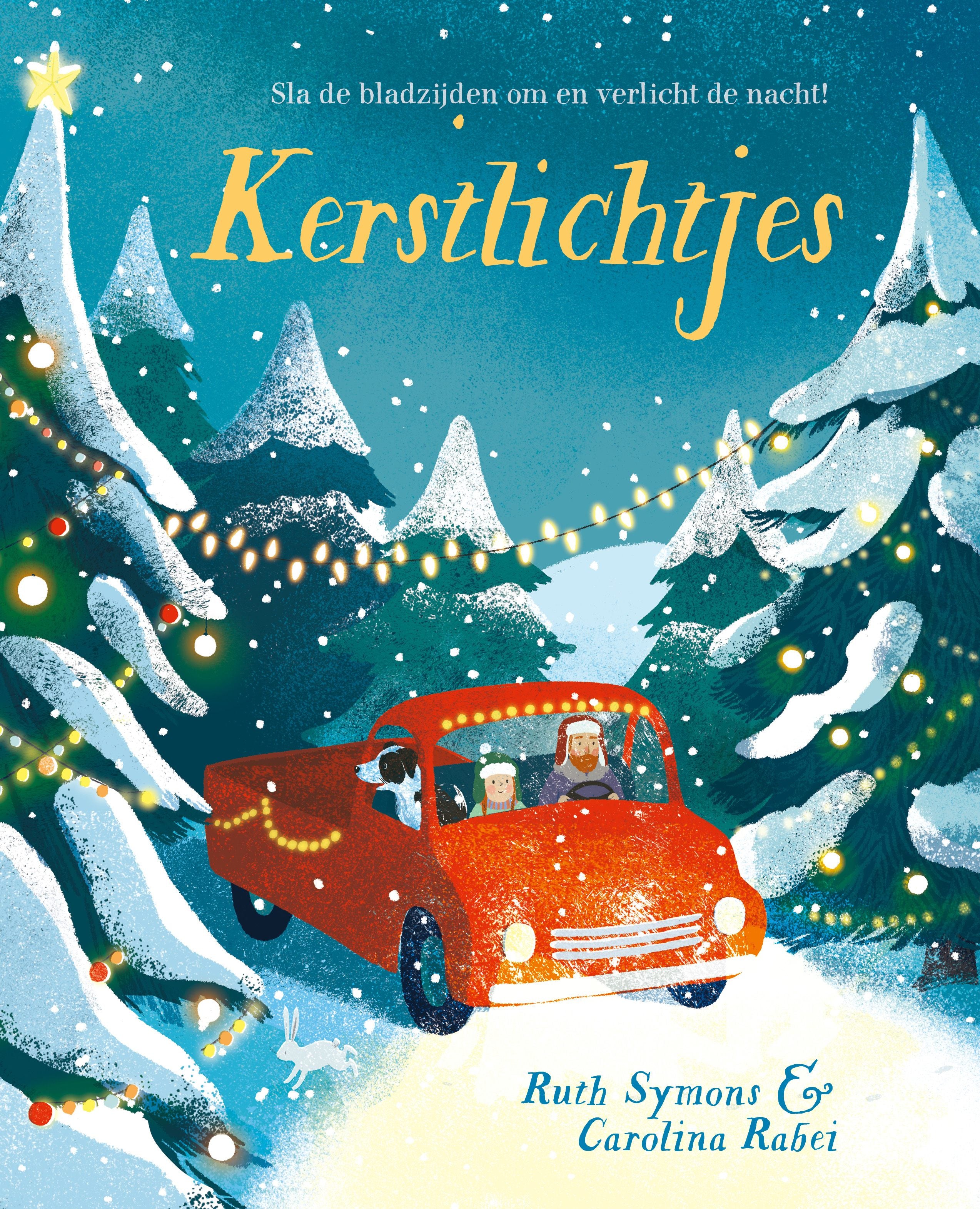 Kerstlichtjes - Kartonboek