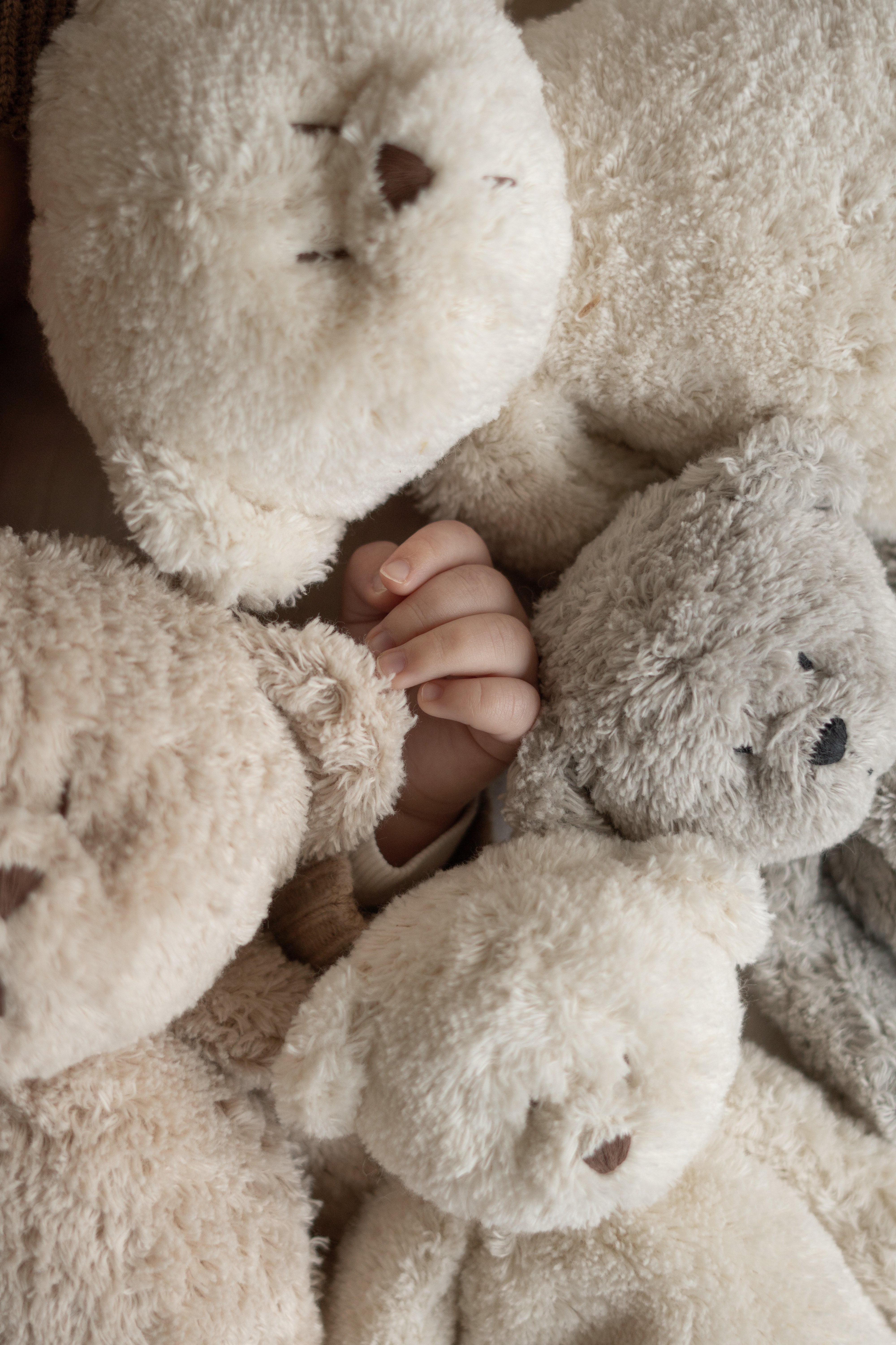 Moonie Bear Moonie Bear - The Humming Bear - Polar Natur - Pearls & Swines