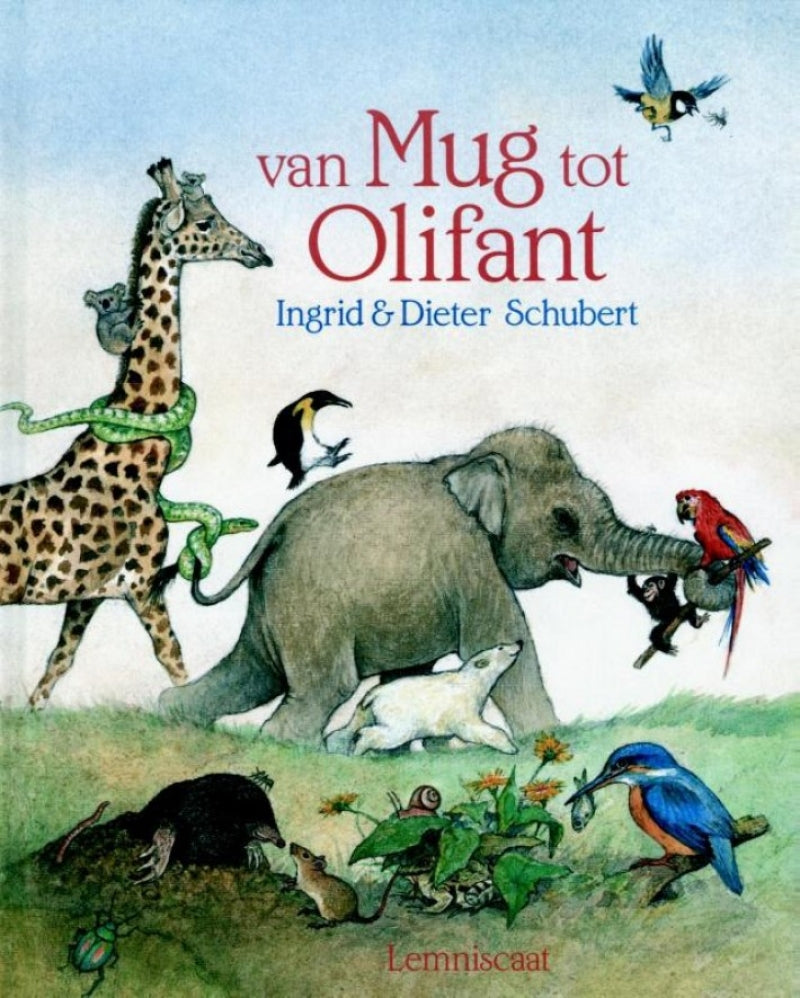 Pearls & Swines Van mug tot olifant - Prentenboek - Pearls & Swines