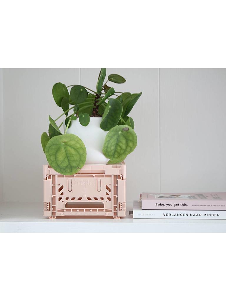 Aykasa folding crates Aykasa Folding Crate MINI - Milk Tea - Pearls & Swines